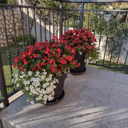 Apartman 
