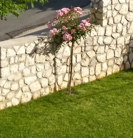 Apartman 